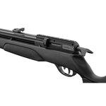 Carabine PCP Gamo Arrow 4,5 mm 19,9 J lunette 3-9x40, plombs et cibles 3