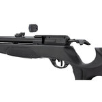 Carabine PCP Gamo Arrow 4,5 mm 19,9 J lunette 3-9x40, plombs et cibles 4