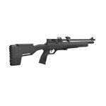 Carabine PCP Crosman Icon 4,5 mm 19,9 joules avec fourreau et 500 plombs 3