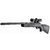 big-cat-gamo-seul