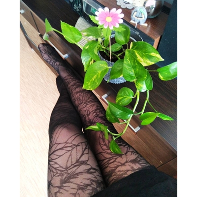 collant fiore lush garden 20 deniers floral et sexy