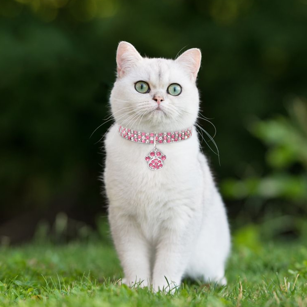 Rhinestone-Cute-Paw-Dog-Collar-Products-for-Dogs-20-25-33CM-Blue-Red-Pink-Adjustable-Collar