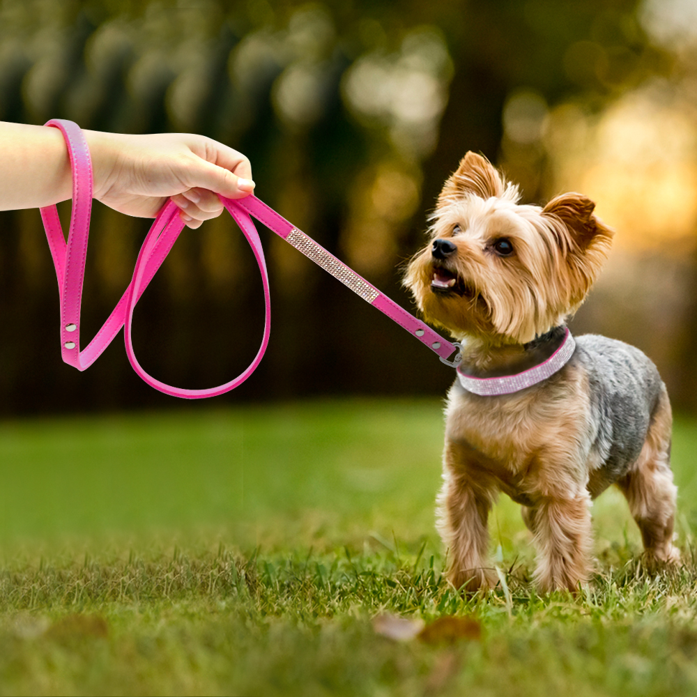 Adjustable-Suede-Leather-Puppy-Dog-Collar-Leash-Set-Soft-Rhinestone-Small-Medium-Dogs-Cats-Collars-Walking