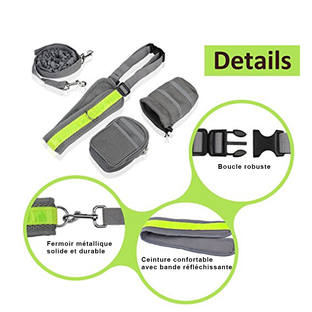 2_Perfect-Walking-Training-Dog-Leash-Set-Hands-Free-Pet-Dog-Cat-Running-Jogging-Padded-Waist-Belt