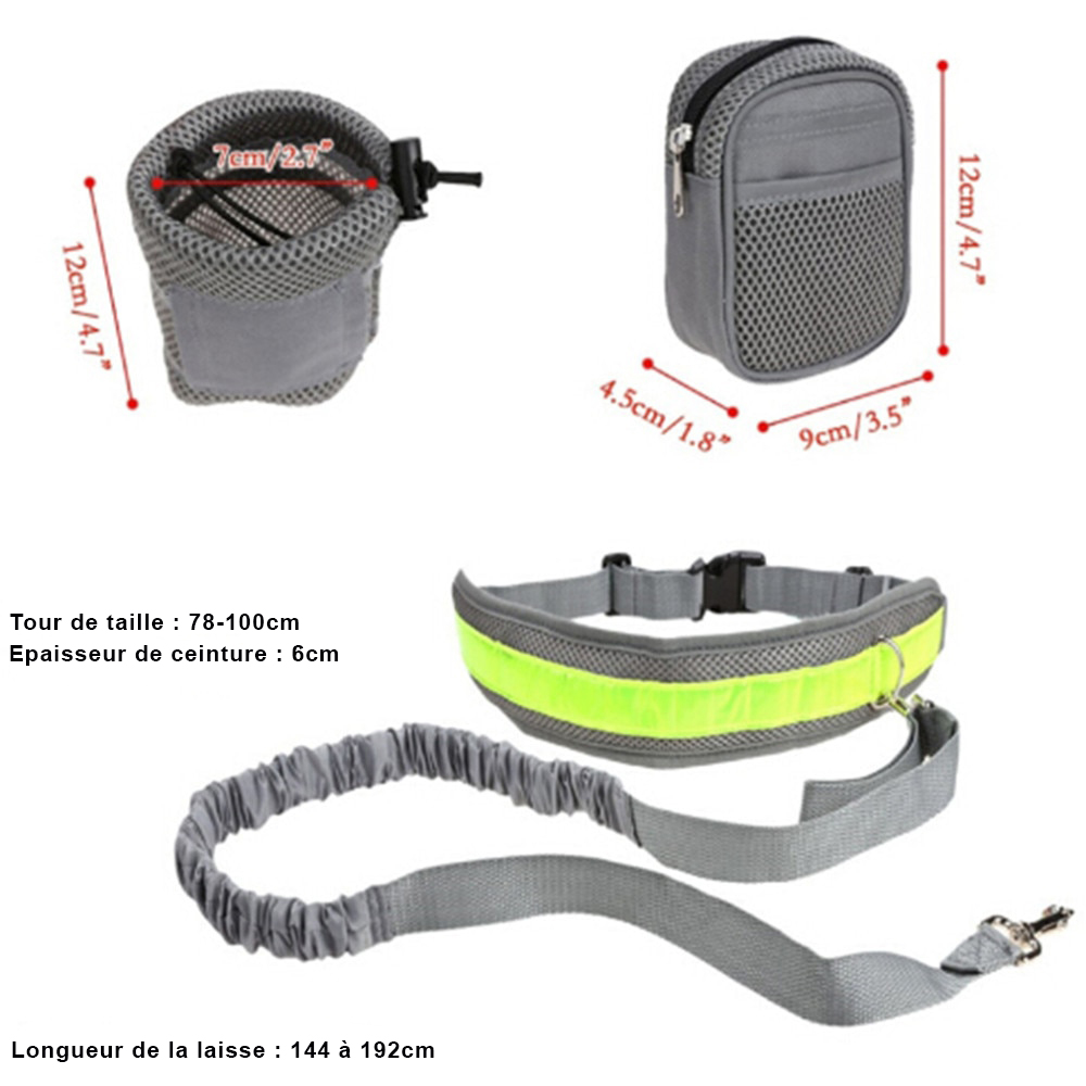1_Perfect-Walking-Training-Dog-Leash-Set-Hands-Free-Pet-Dog-Cat-Running-Jogging-Padded-Waist-Belt