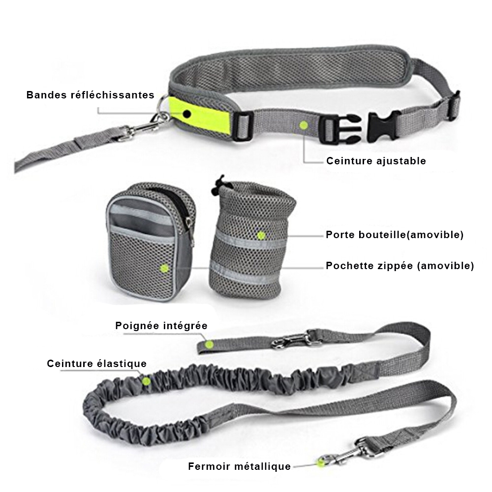 3_Perfect-Walking-Training-Dog-Leash-Set-Hands-Free-Pet-Dog-Cat-Running-Jogging-Padded-Waist-Belt