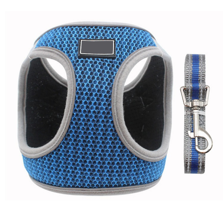 Bleu_sine-professionnelle-maille-reflechissa_variants-1