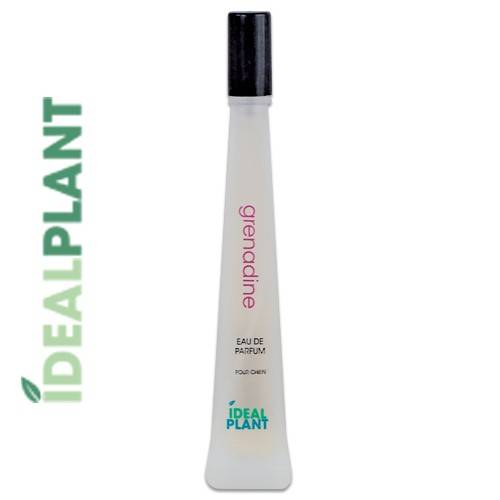 parfum-idealplant-grenadine-30ml