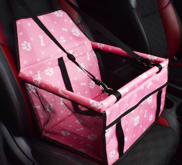 ente-en-gros-de-voiture-de-chien-de-cou_main-1