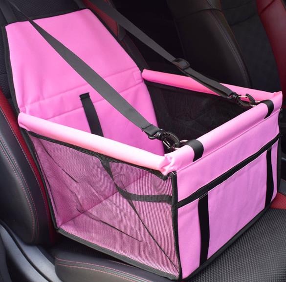 ente-en-gros-de-voiture-de-chien-de-cou_main-4