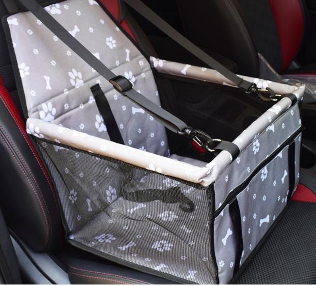null_ente-en-gros-de-voiture-de-chien-de-cou_variants-3