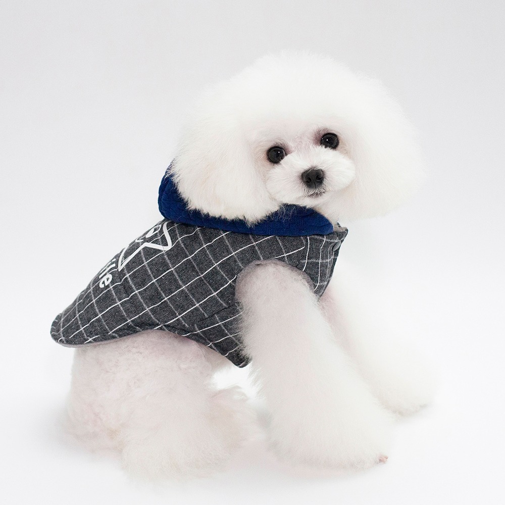 aute-qualite-simply-star-chien-automne_main-5