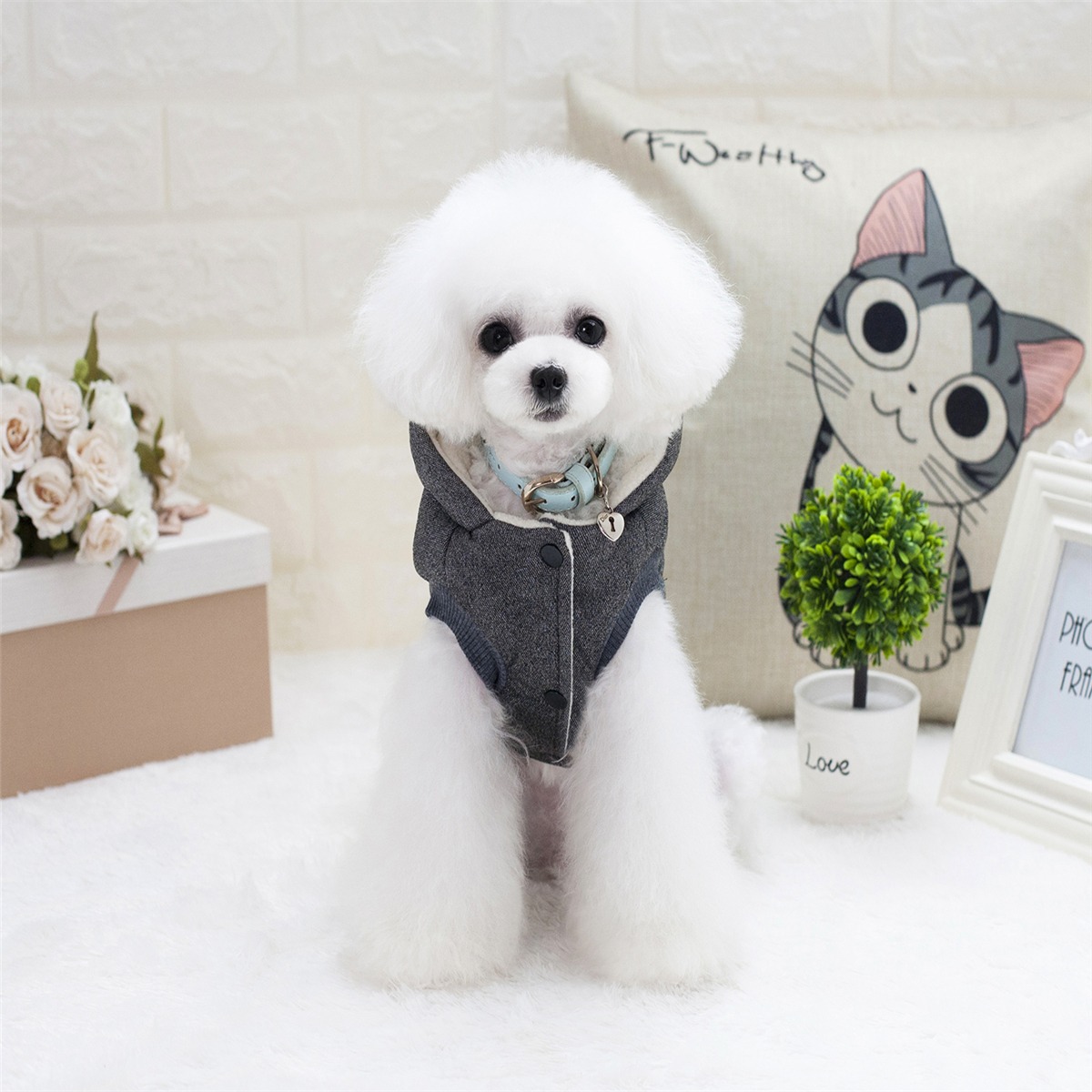 ouveaux-produits-chien-de-compagnie-mou_main-2