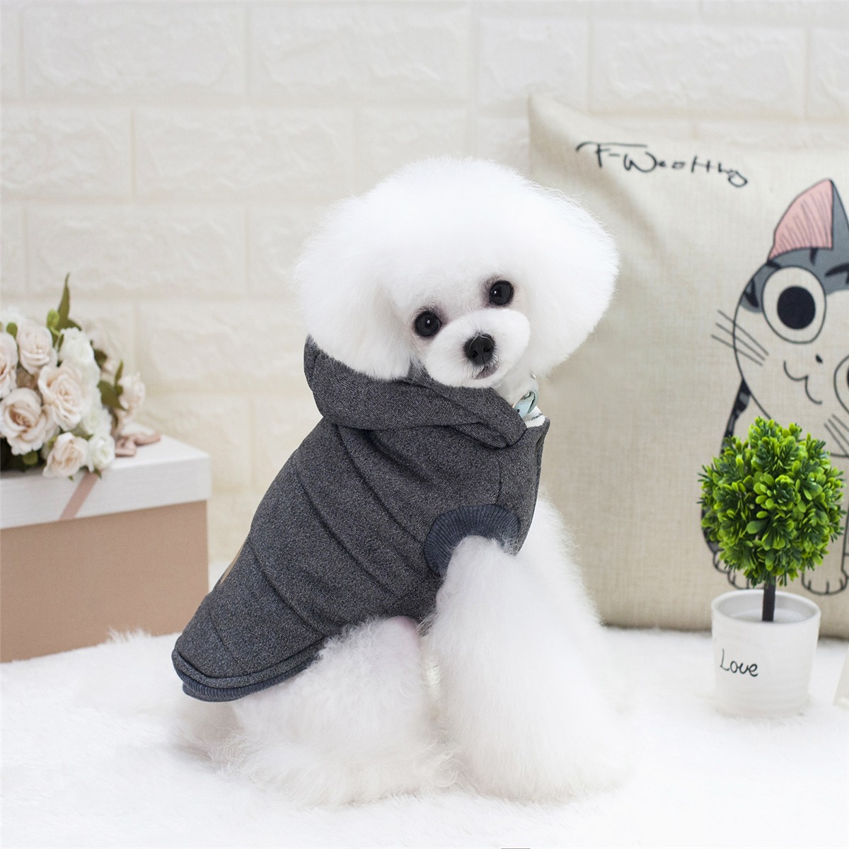 ouveaux-produits-chien-de-compagnie-mou_main-3