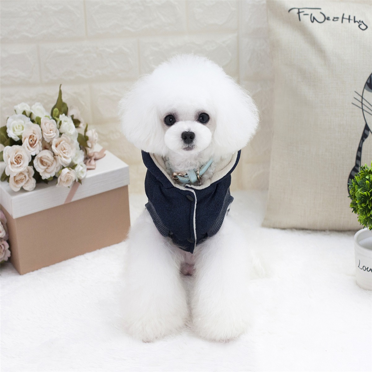 ouveaux-produits-chien-de-compagnie-mou_main-4