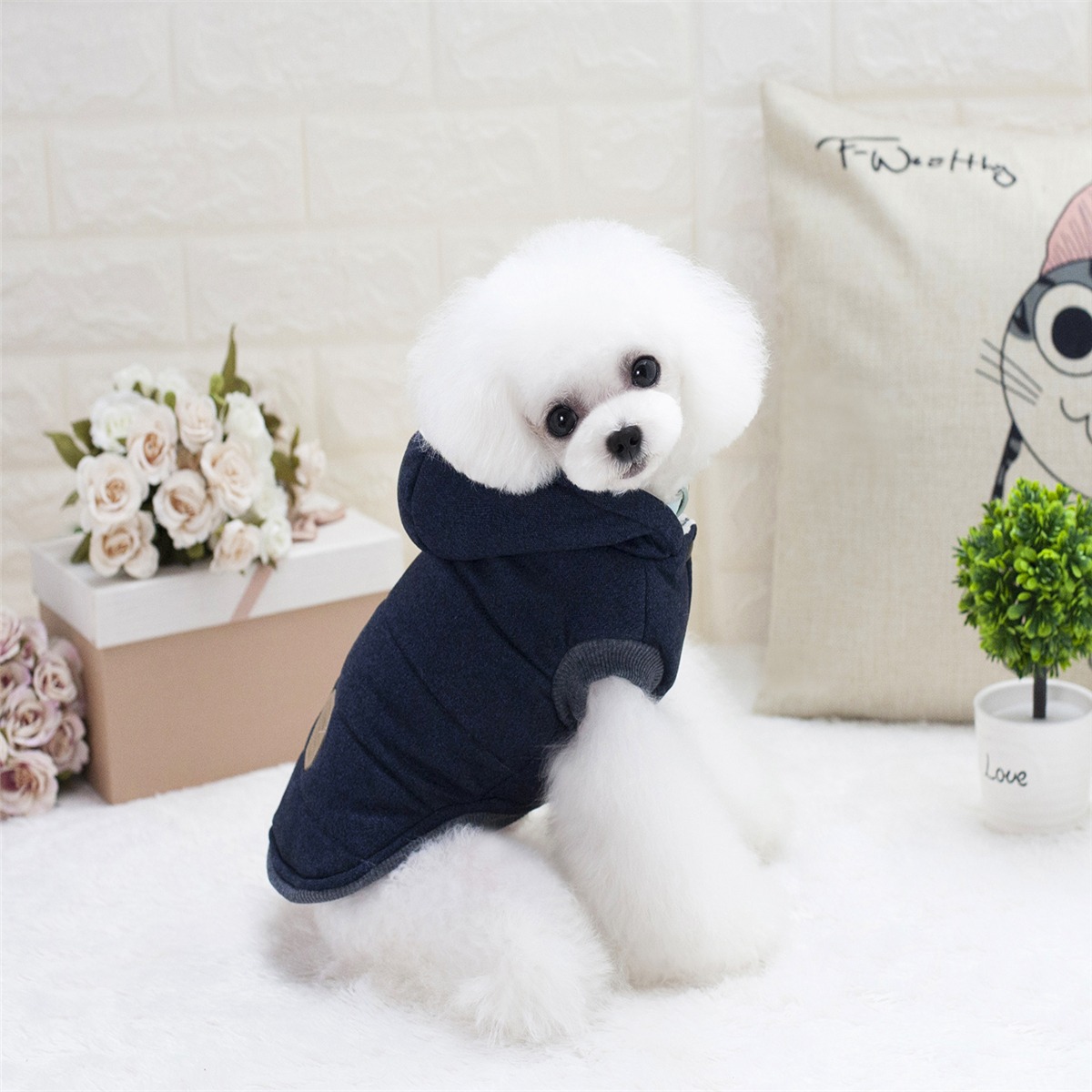 ouveaux-produits-chien-de-compagnie-mou_main-5