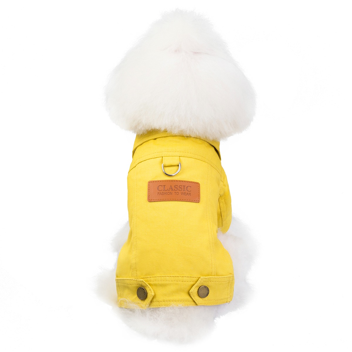 ente-en-gros-automne-et-hiver-a-la-mode_main-3