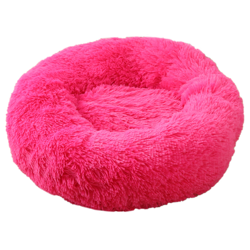 Fushia