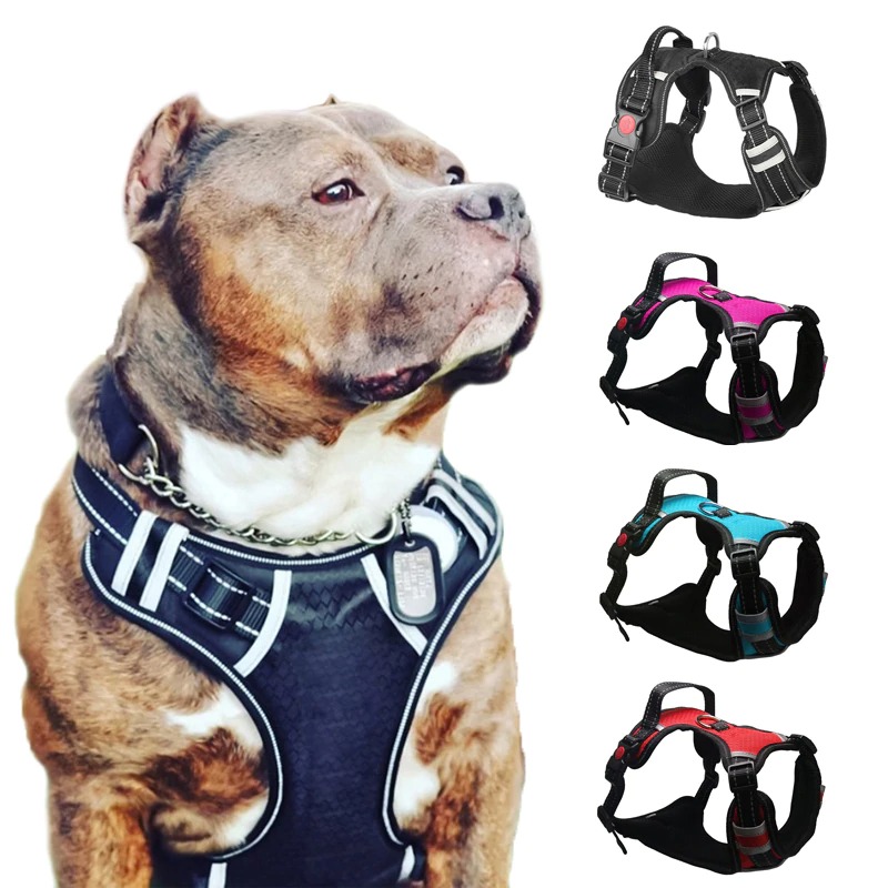 Harnais anti-traction pour grands chiens - Harnais pour chiens