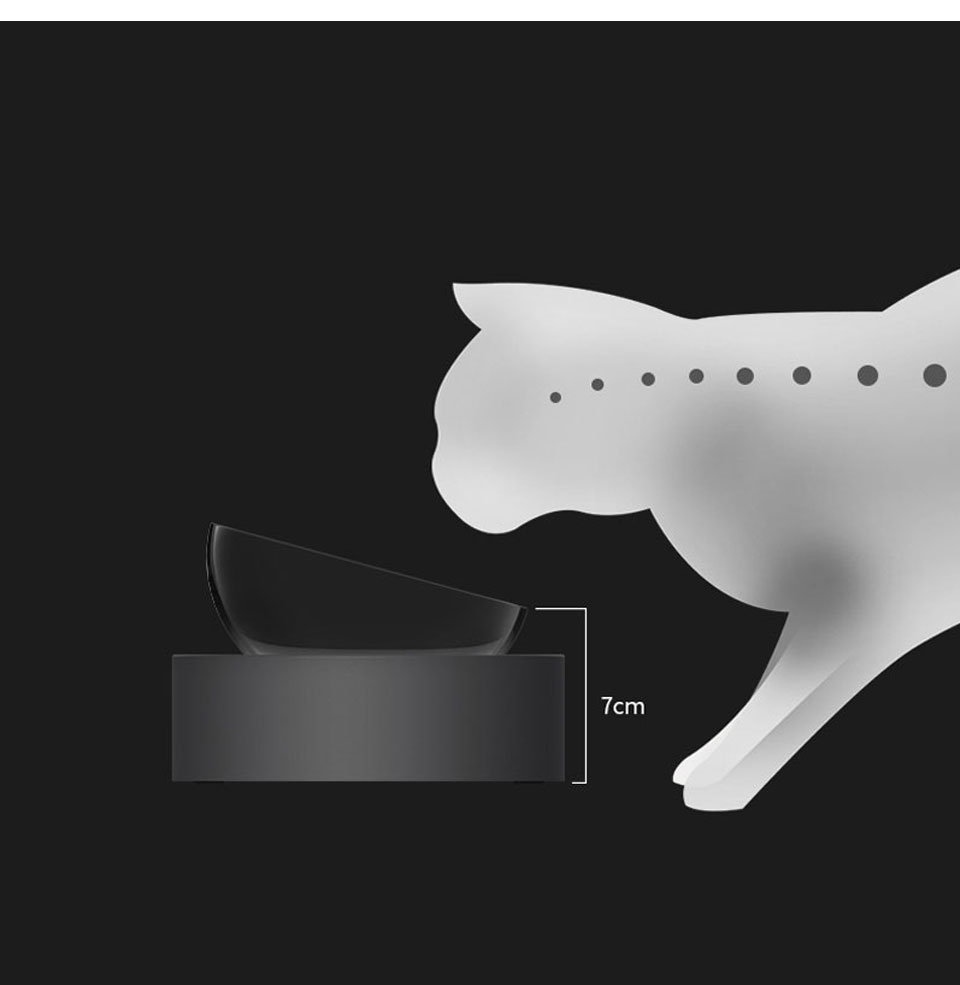 Gamelle Surélevée Pour Chien - Double Coque, Inox, Noir (2 En 1)