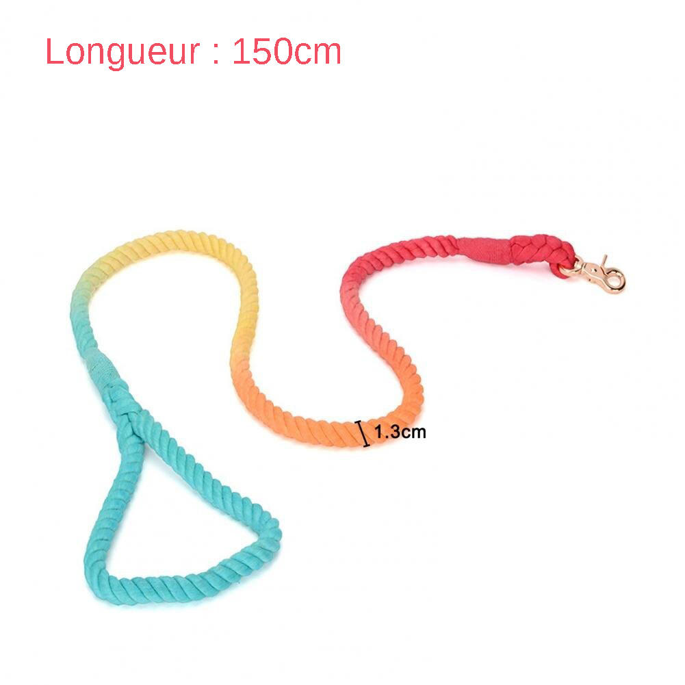 degrade-couleur-arc-en-ciel-tresse-resis_main-5