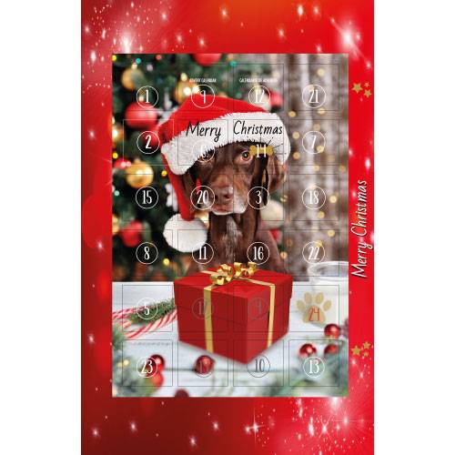 calendrier-de-l-avent-doogy