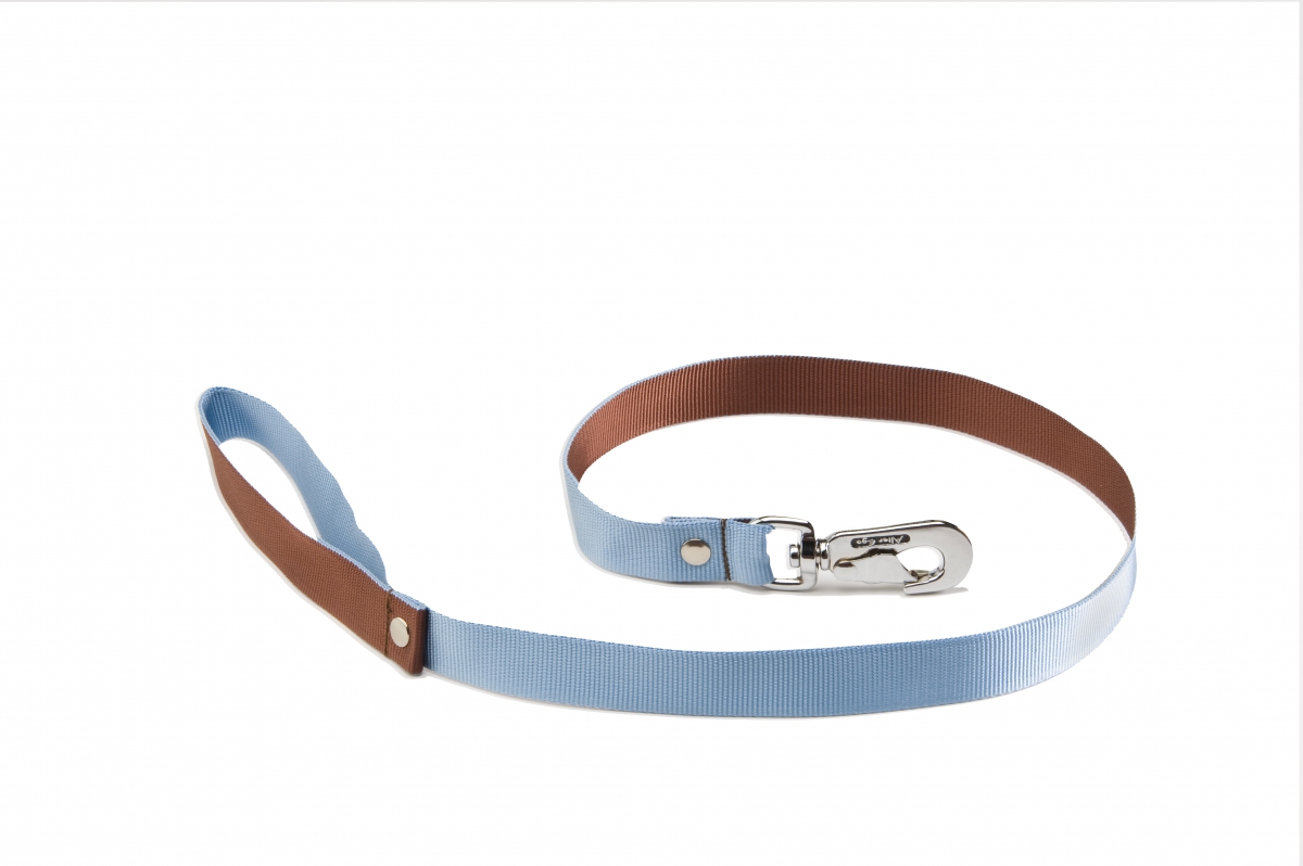 laisse-nylon-bleu-marron-25-x-100-cm