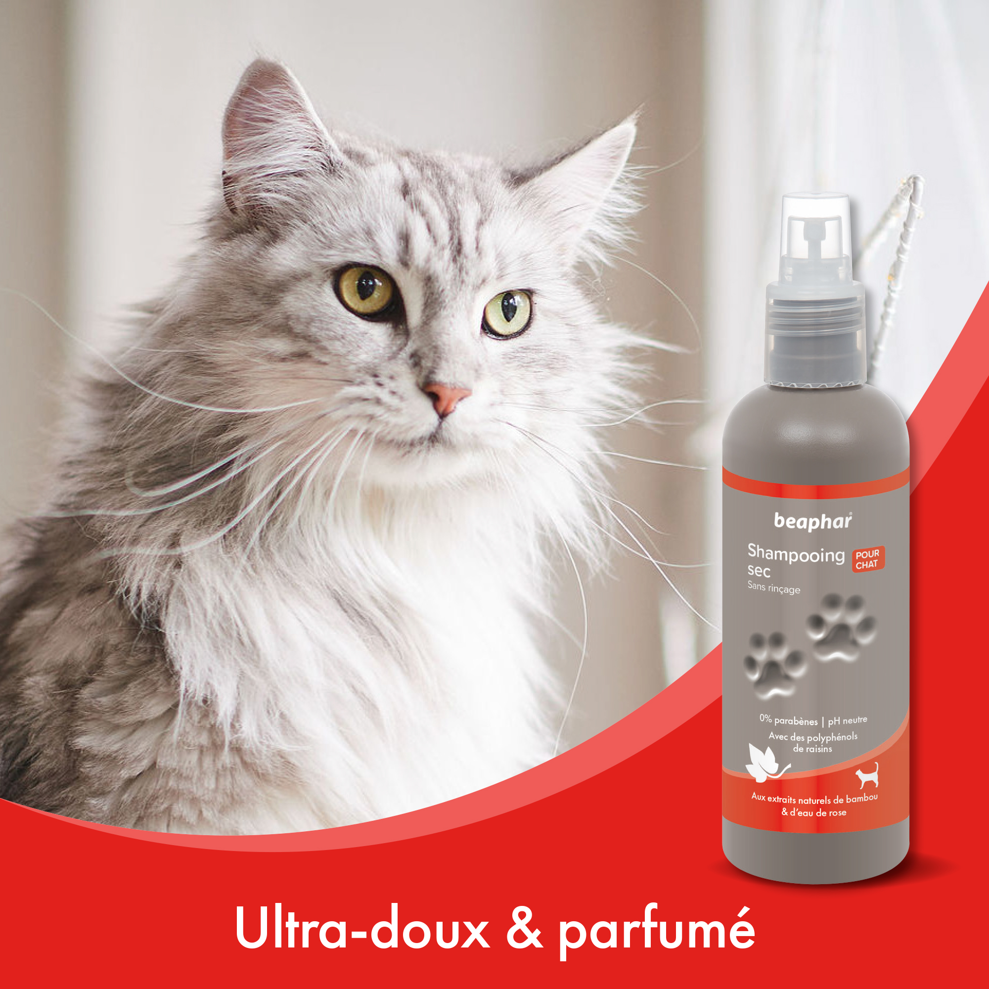 10150_Ecommerce_Premium-Spray-Shampooing-sec_FR_2021-5