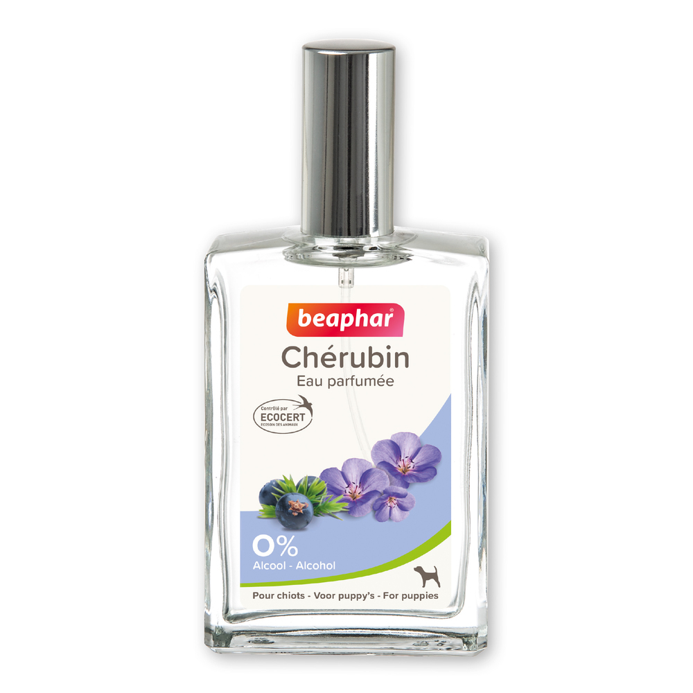 12075_Ecommerce_Parfum-Puppy_FR_2023-1