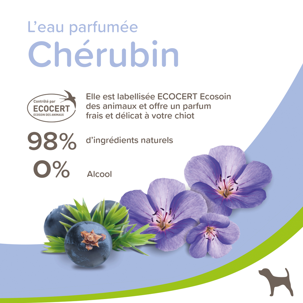 12075_Ecommerce_Parfum-Puppy_FR_2023-2