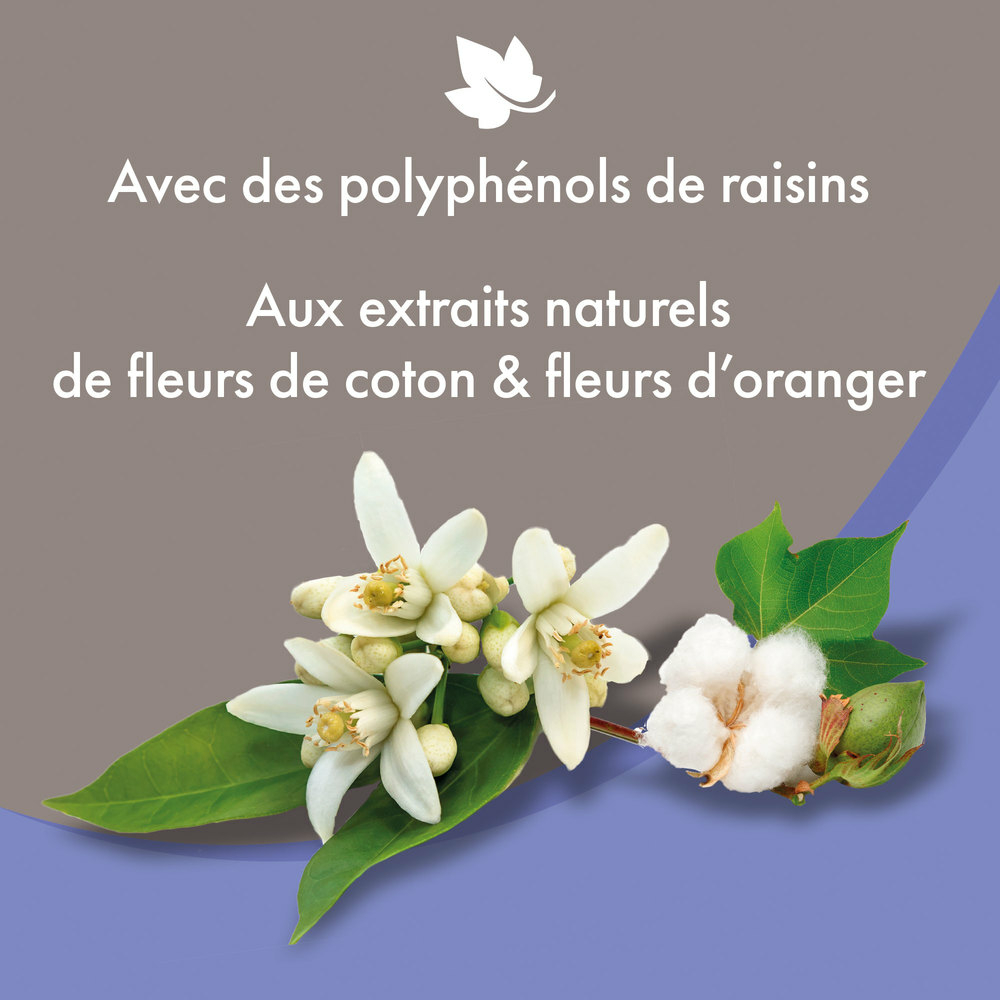 15022_Ecommerce_Premium-Shampoo-Chiot_FR_2023-3