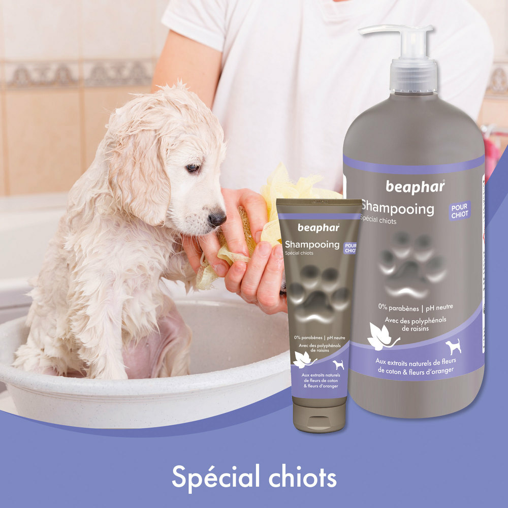 15022_Ecommerce_Premium-Shampoo-Chiot_FR_2023-4