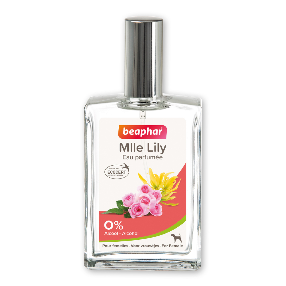 13552_Ecommerce_Parfum-Female_FR_2023-1