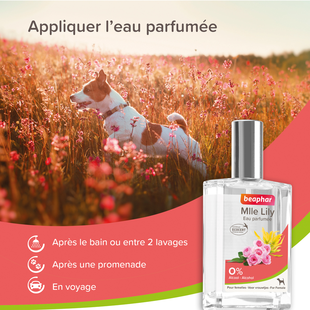 13552_Ecommerce_Parfum-Female_FR_2023-4