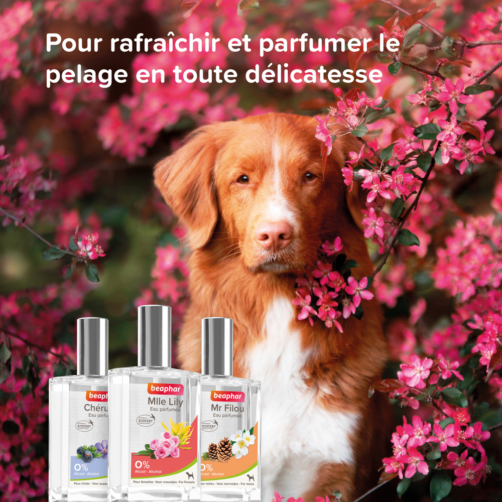 13552_Ecommerce_Parfum-Female_FR_2023-5