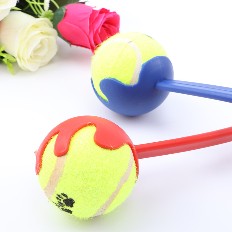 2_2154446393565