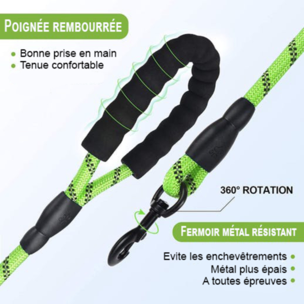 Laisse pour chien nylon_poignee_confort (6) (2)