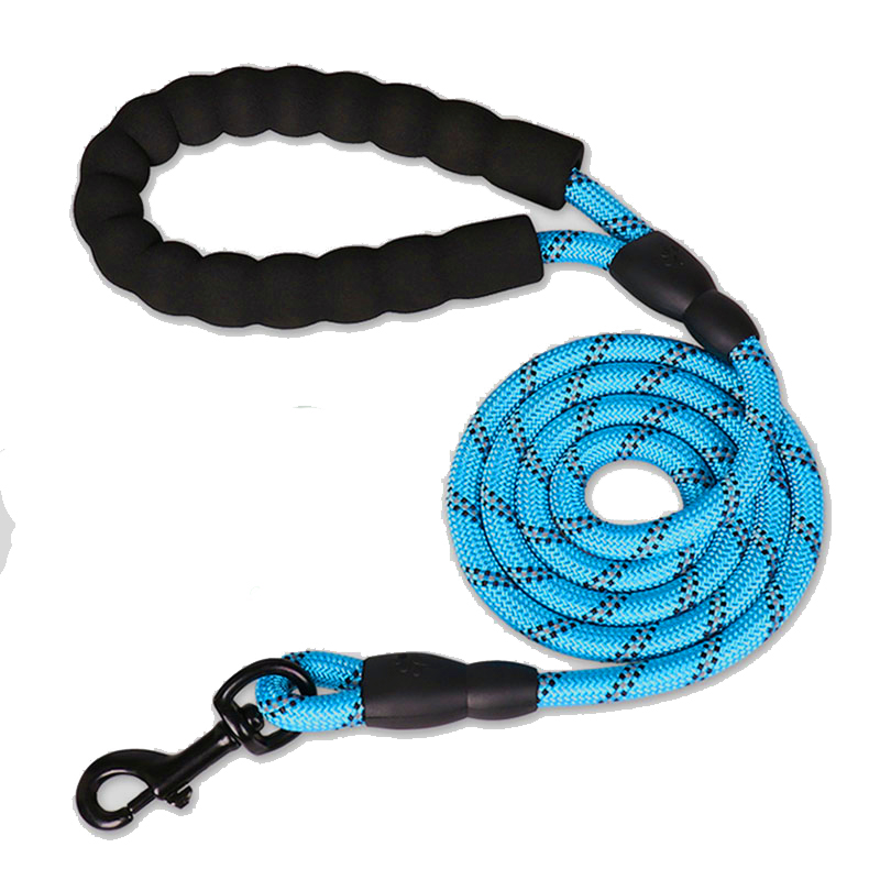 Laisse corde Bleue