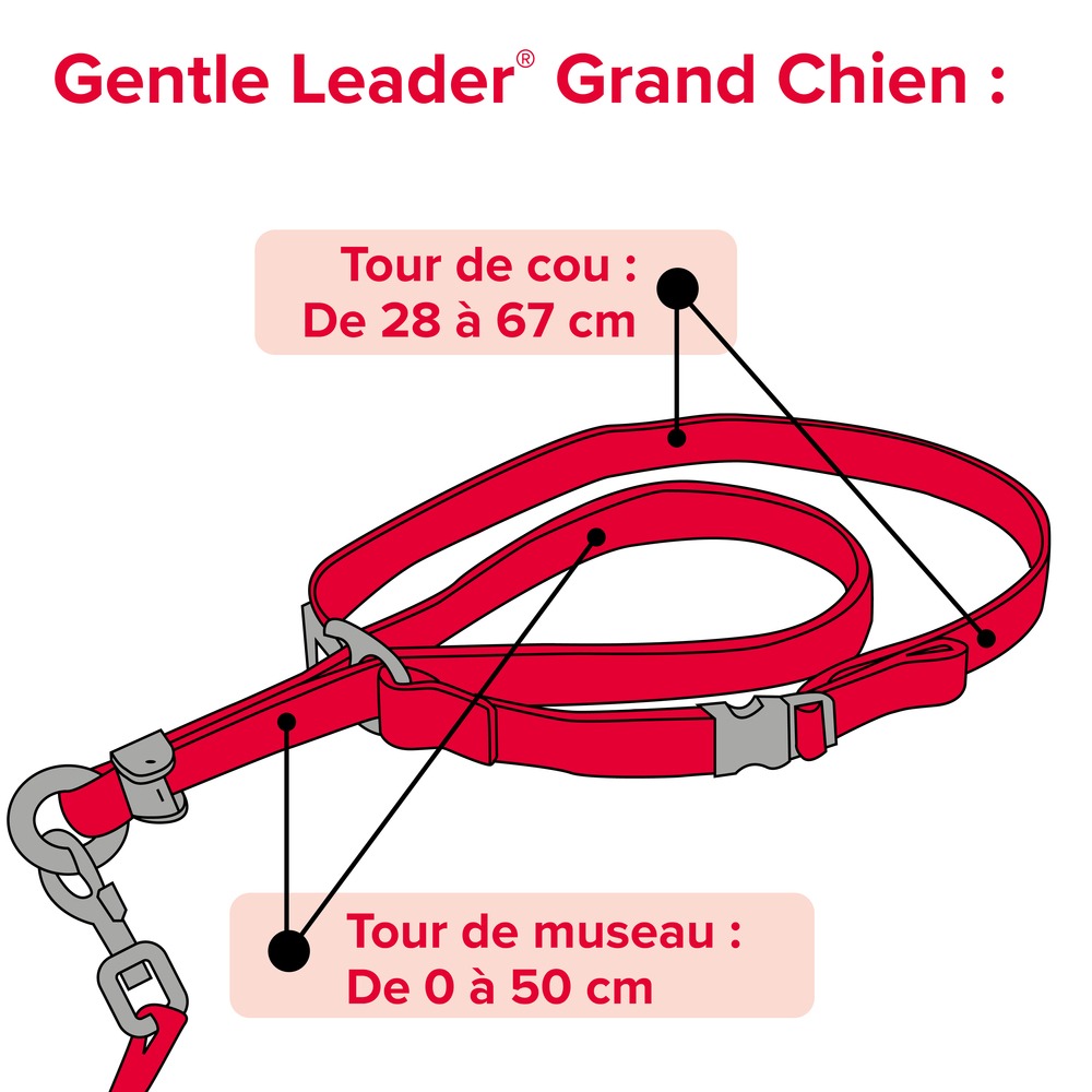 Gentle_Leader_Loops_FR_1_(1)