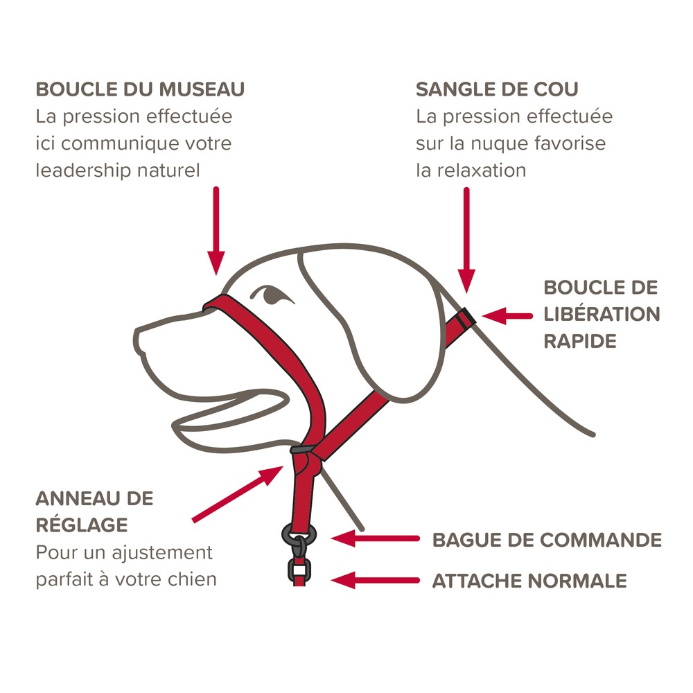 16261_Ecommerce_Gentle-Leader-L_FR_2023-3