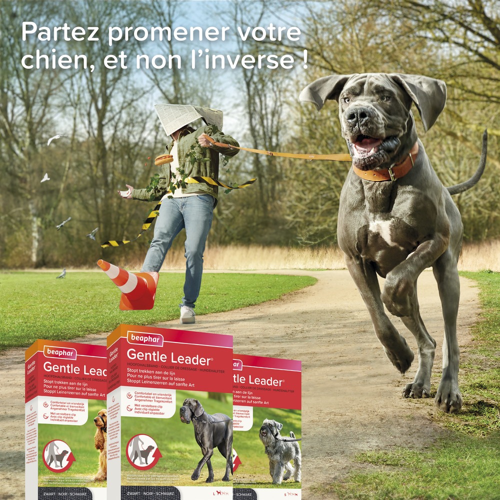 16261_Ecommerce_Gentle-Leader-L_FR_2023-8