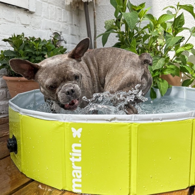 piscine-pour-chien-martin-pool-vert-4
