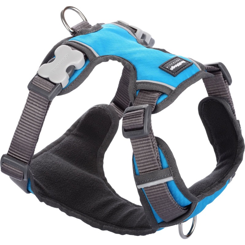 imgi_30_harnais-chien-red-dingo-sport-rembourre-turquoise