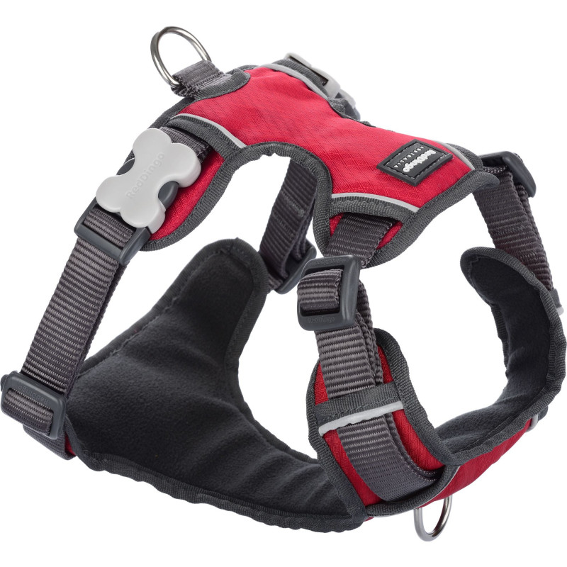 harnais-chien-red-dingo-sport-rembourre-rouge