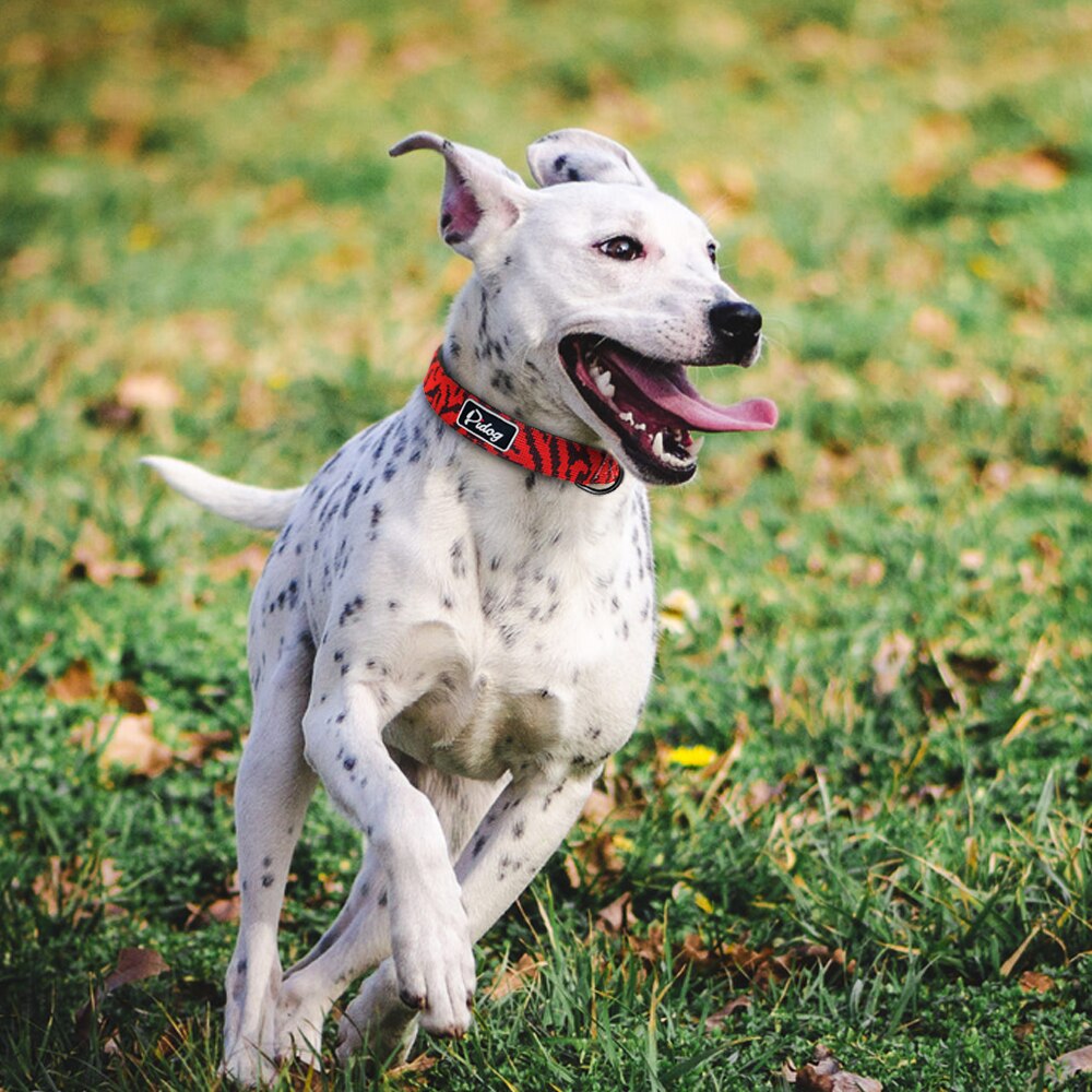 Adjustbale-Nylon-Dog-Collar-Leopard-Printed-Safety-Dog-Collar-For-Small-Medium-Large-Dogs-Pitbull-Labrador