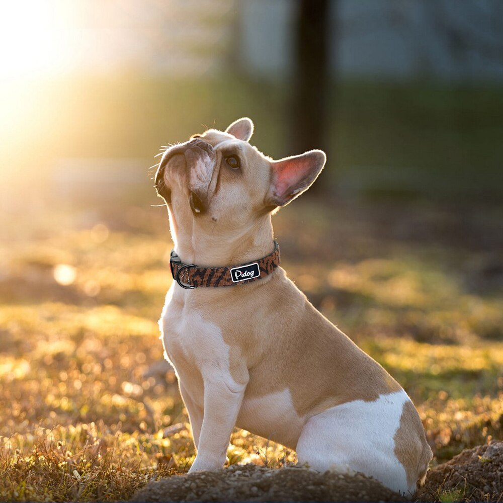 Adjustbale-Nylon-Dog-Collar-Leopard-Printed-Safety-Dog-Collar-For-Small-Medium-Large-Dogs-Pitbull-Labrador