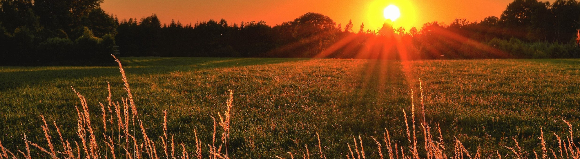 FRAIS DE PORT OFFERT SUR LA SELECTION DE L'ÉTÉ . PLST