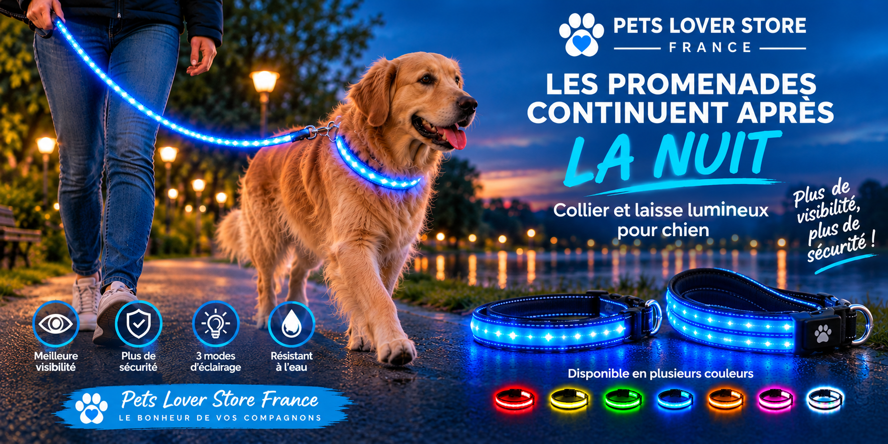 Collier et laisse lumineux pour chien : les promenades continuent après la nuit, plus de visibilité et de sécurité