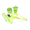 Perfect-Walking-Training-Dog-Leash-Set-Hands-Free-Pet-Dog-Cat-Running-Jogging-Padded-Waist-Belt