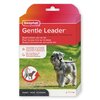 16265_Ecommerce_Gentle-Leader-S_FR_2023-1